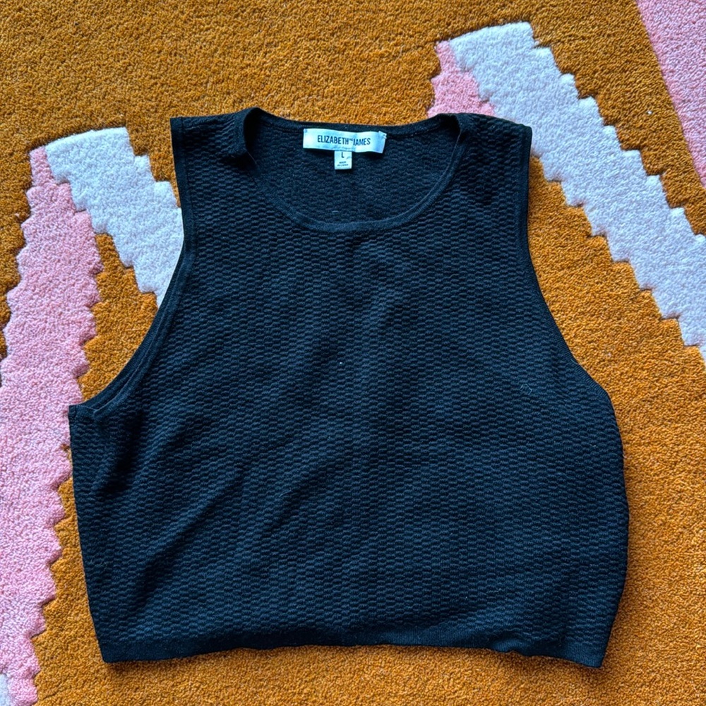 Elizabeth and James Black Cropped Tank Top